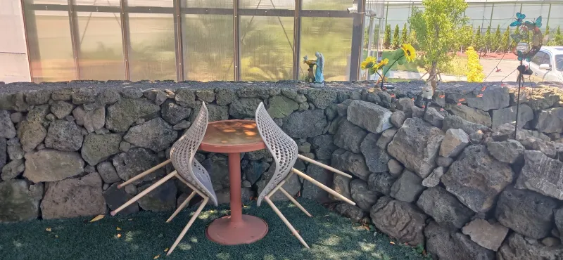 [Gangjeong-dong, Seogwipo] Green Country House, Affordable Studio #PetFriendly 8