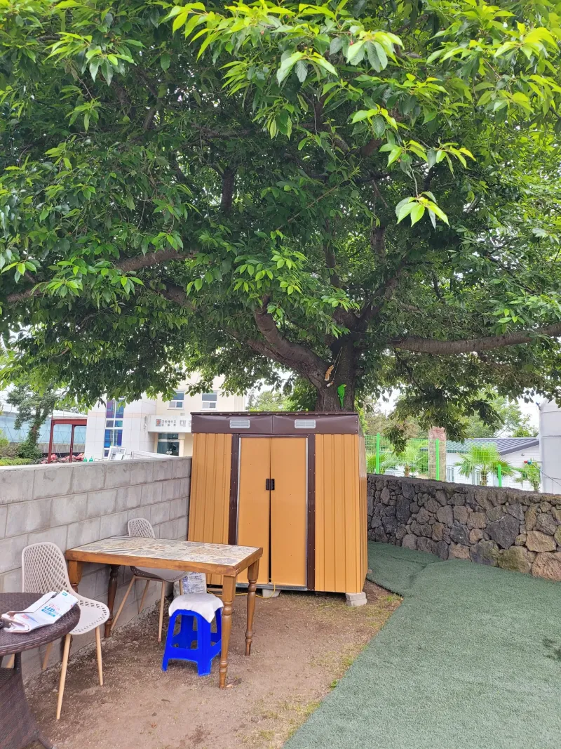 [Gangjeong-dong, Seogwipo] Green Country House, Affordable Studio #PetFriendly 17