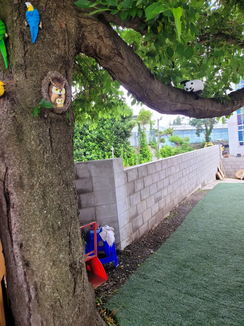 [Gangjeong-dong, Seogwipo] Green Country House, Affordable Studio #PetFriendly 10