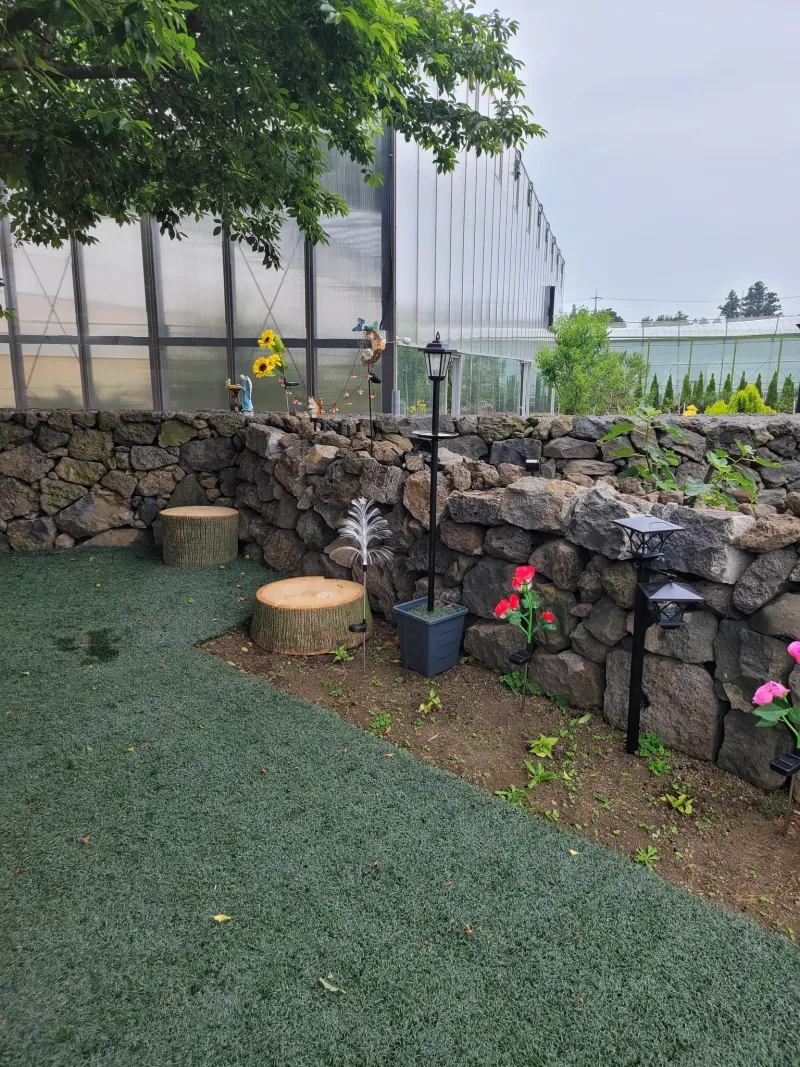 [Gangjeong-dong, Seogwipo] Green Country House, Affordable Studio #PetFriendly 12