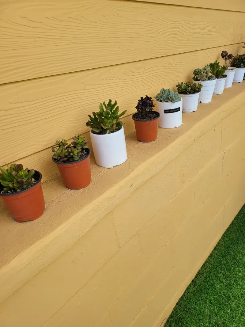 [Gangjeong-dong, Seogwipo] Green Country House, Affordable Studio #PetFriendly 9