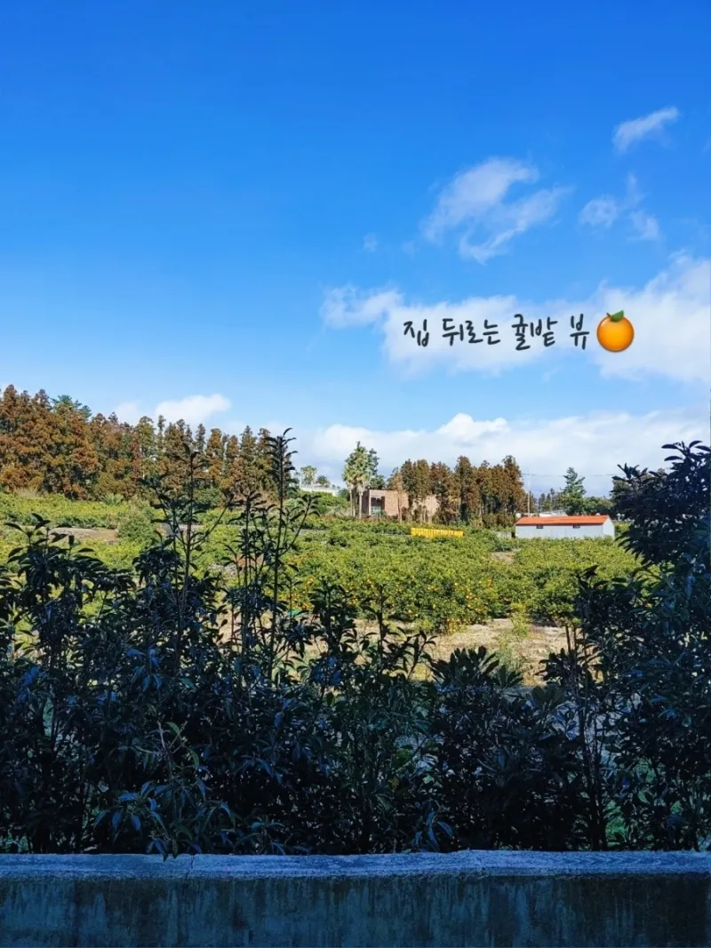 [Hawon-dong, Seogwipo] Quiet Local Stay_Spacious 3-Room Detached House 15
