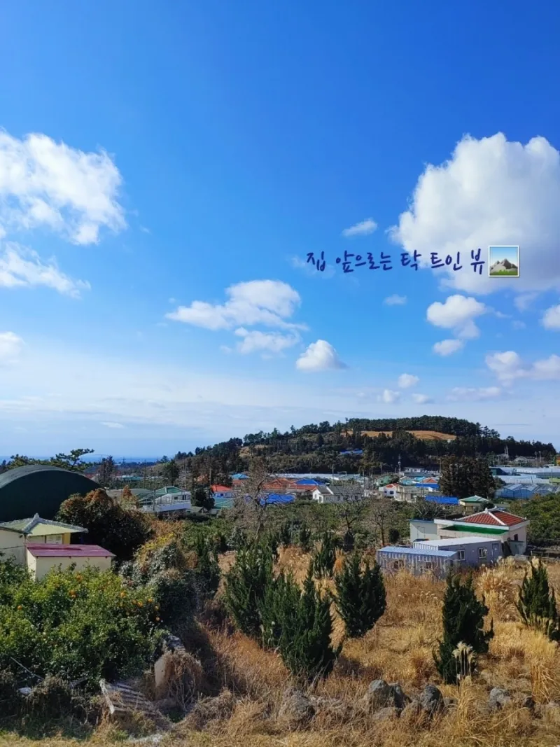 [Hawon-dong, Seogwipo] Quiet Local Stay_Spacious 3-Room Detached House 14