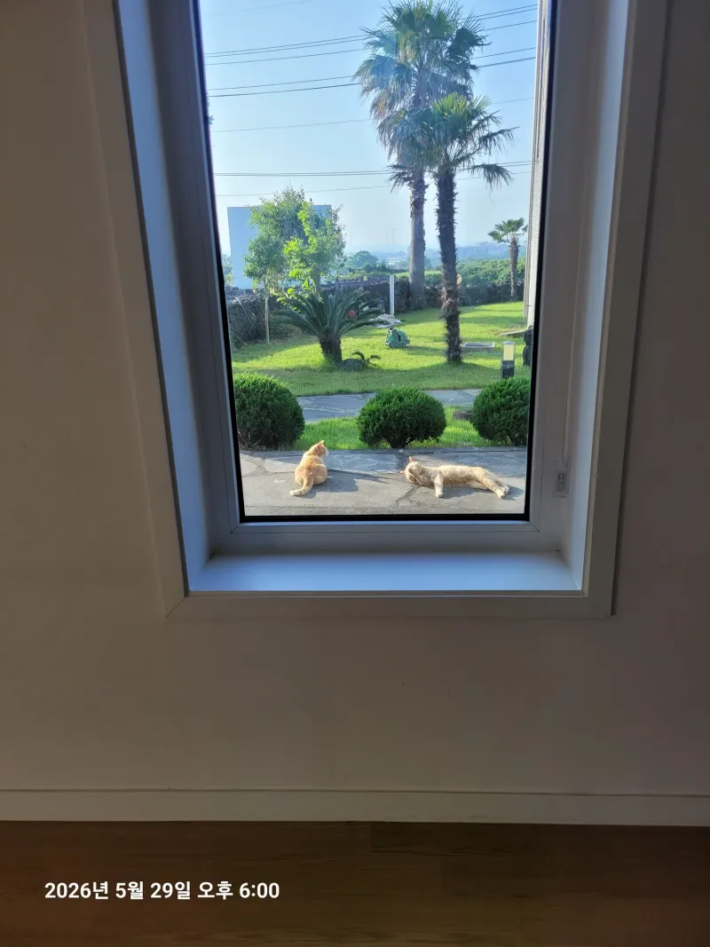 [Hallim, Jeju] Ocean view newly built duplex 3-room independent house C building 22
