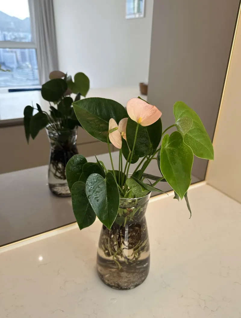 [Yeongdo, Busan][Opening Special] High-floor Ocean View, 1 Minute from Busan Station/Momos Coffee 20