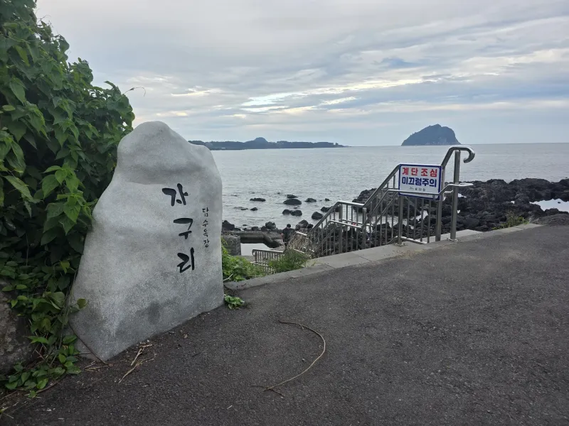 [Seogwi-dong, Seogwipo] Seogwipo & Olle Market & Discounts 17