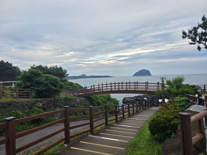 [Seogwi-dong, Seogwipo] Seogwipo & Olle Market & Discounts 15
