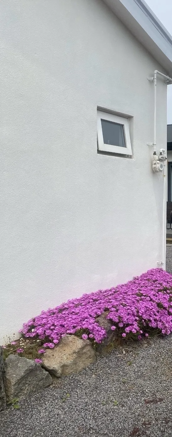 [제주 애월] 애월 아담한 독채 25