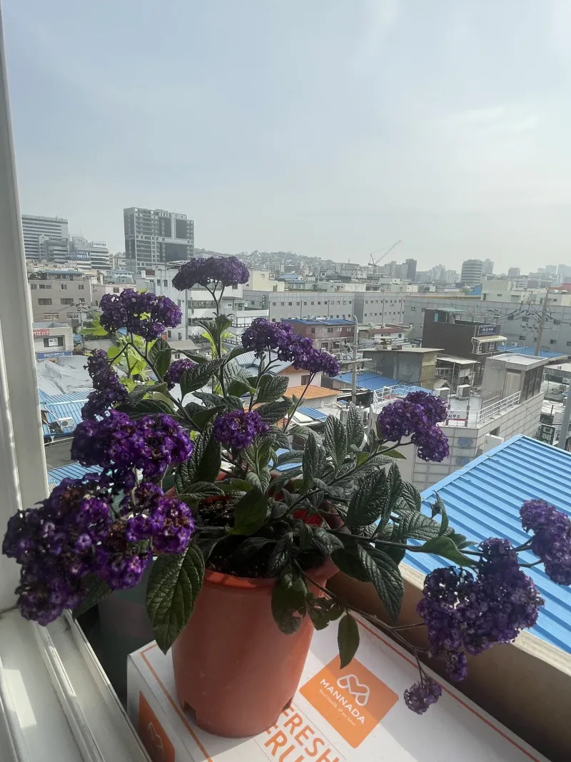 [Jung-gu, Seoul] Euljiro Stay (Right above Subway Lines 2 and 5) 21