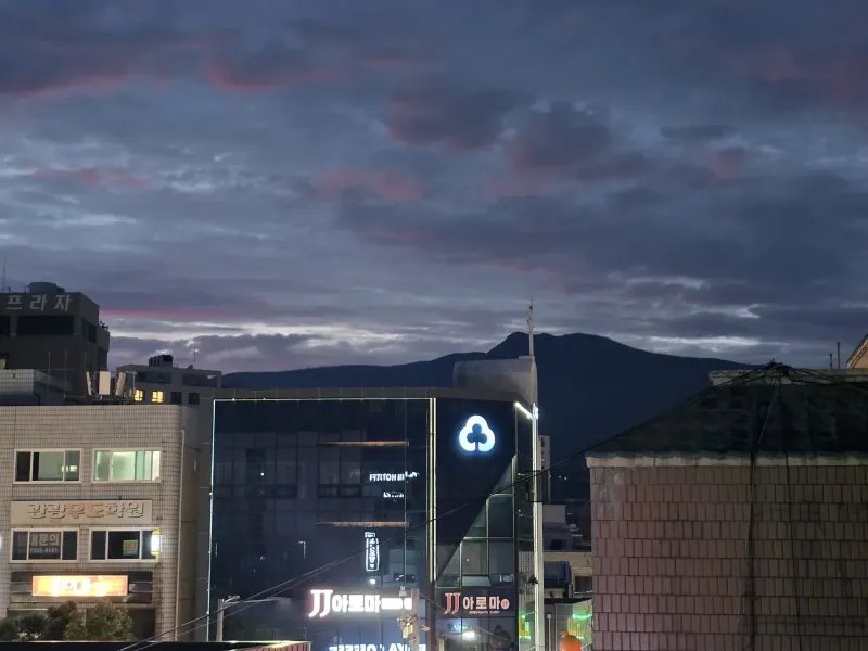 [Seogwi-dong, Seogwipo] Seogwipo & Olle Market & Discounts 10