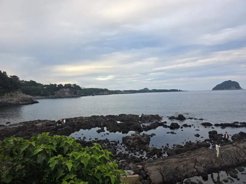 [Seogwi-dong, Seogwipo] Seogwipo & Olle Market & Discounts 16