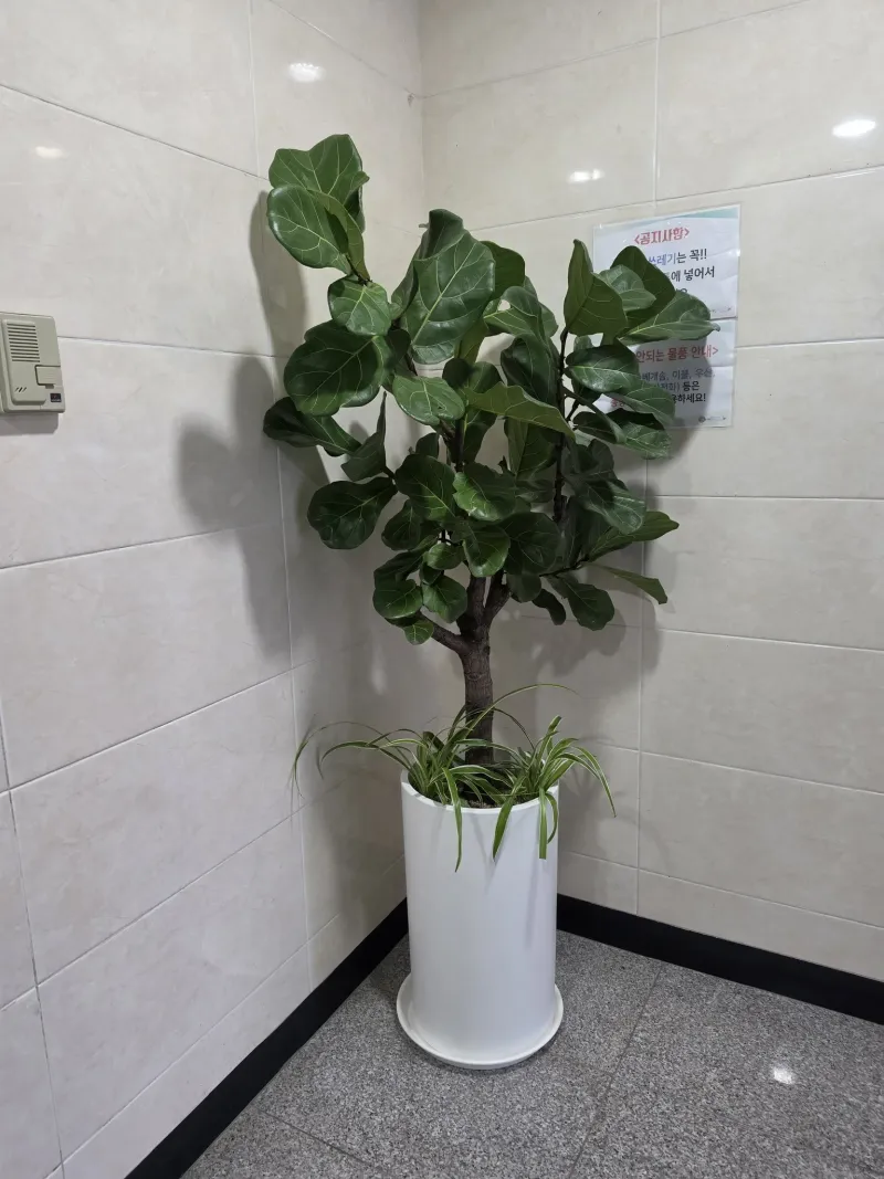 [Geoje] Double Room, Fully Furnished Cozy Accommodation 10