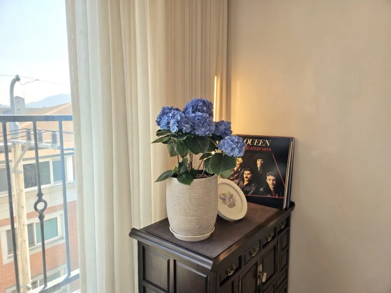 [Seocho, Seoul][Gangnam/Seorae Village] 2BR Private Rooftop / Max 7 17