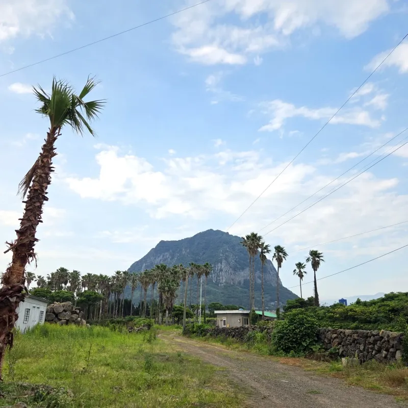 [Andeok, Seogwipo] House 3 minutes from Sagye Beach, Hello Sagye 47