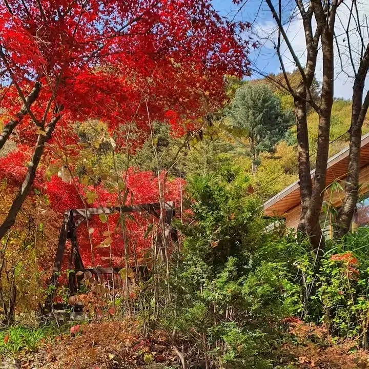 [Gwangju][Gwangju, Gyeonggi Province] Forest Villa 26