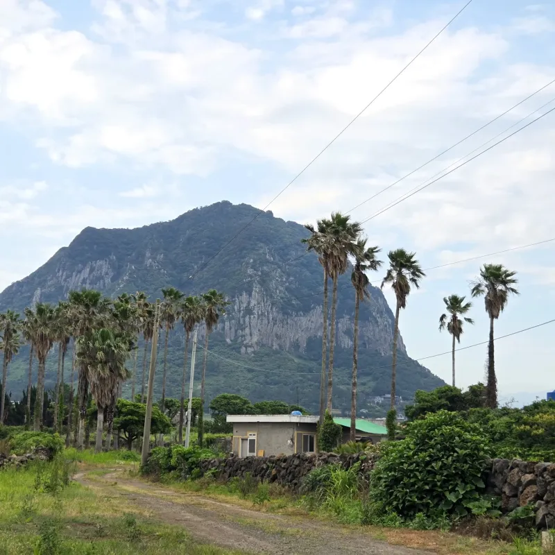 [Andeok, Seogwipo] House 3 minutes from Sagye Beach, Hello Sagye 46