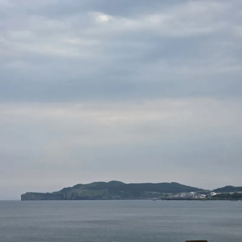 [Andeok, Seogwipo] House 3 minutes from Sagye Beach, Hello Sagye 41