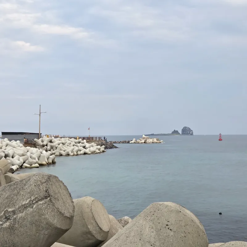[Andeok, Seogwipo] House 3 minutes from Sagye Beach, Hello Sagye 39
