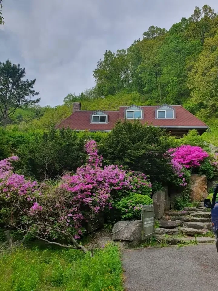 [Gwangju][Gwangju, Gyeonggi Province] Forest Villa 19