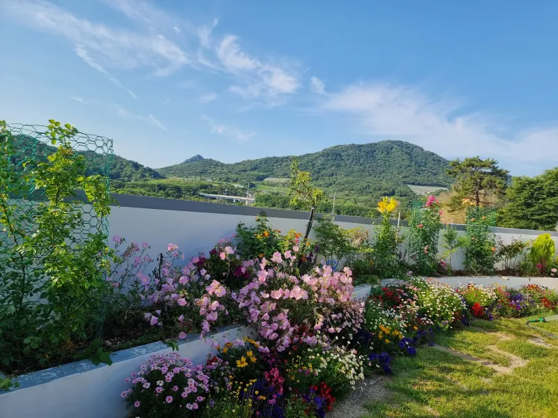 [Boseong][Boseong-gun, Jeollanam-do] Haengbokine 20
