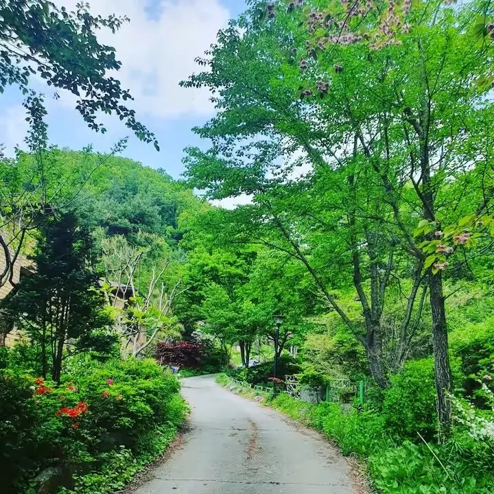 [Gwangju][Gwangju, Gyeonggi Province] Forest Villa 27