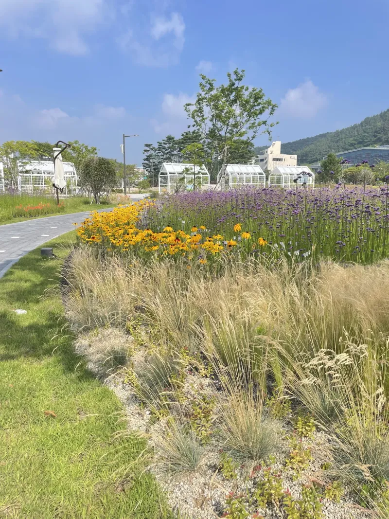 [Muan] Stylish duplex accommodation next to the Jeonnam Provincial Office in Namak w 29