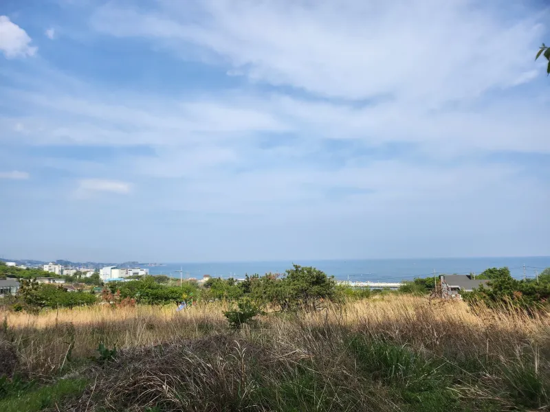 [경북 포항] 신축오션뷰 동해바다 29