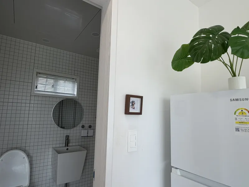 [Saekdal-dong, Seogwipo] South-facing floor-to-ceiling windows with ocean view, fenced dog playground, Building B, 2nd floor studio 11