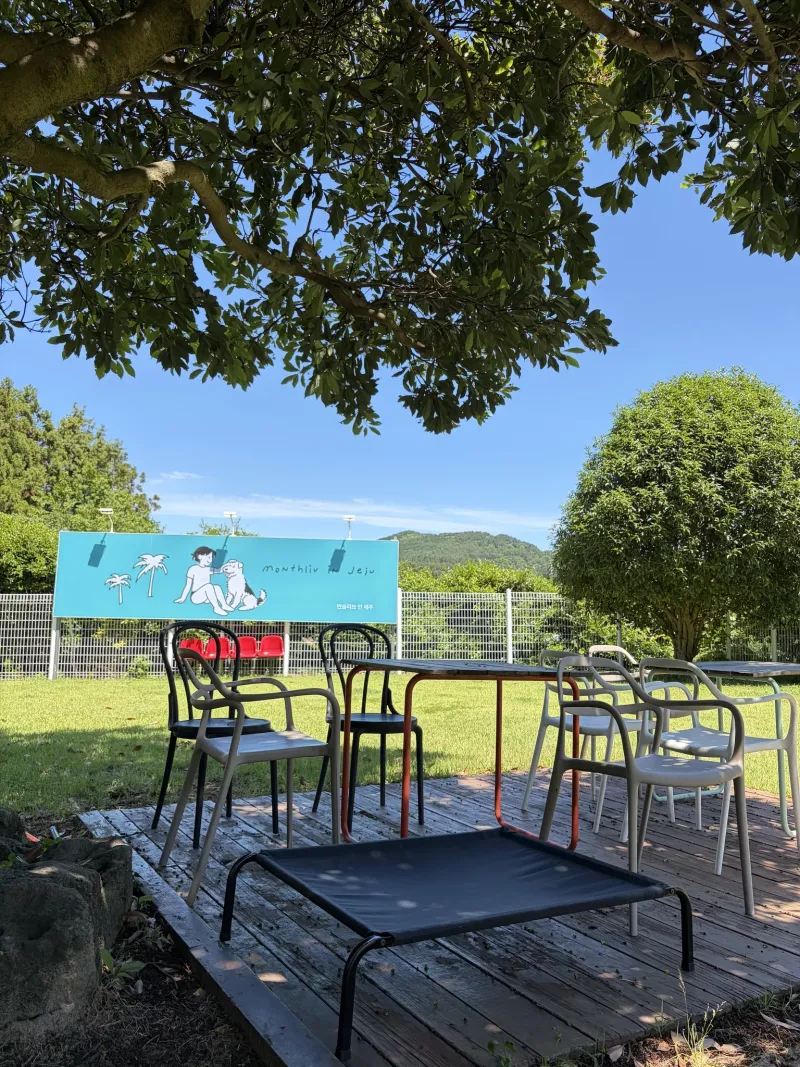 [Saekdal-dong, Seogwipo] South-facing floor-to-ceiling windows with ocean view, fenced dog playground, Building B, 2nd floor studio 22