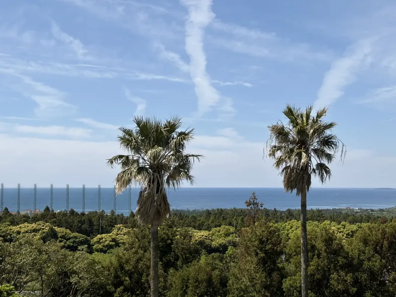 [Saekdal-dong, Seogwipo] South-facing floor-to-ceiling windows with ocean view, fenced dog playground, Building B, 2nd floor studio 17