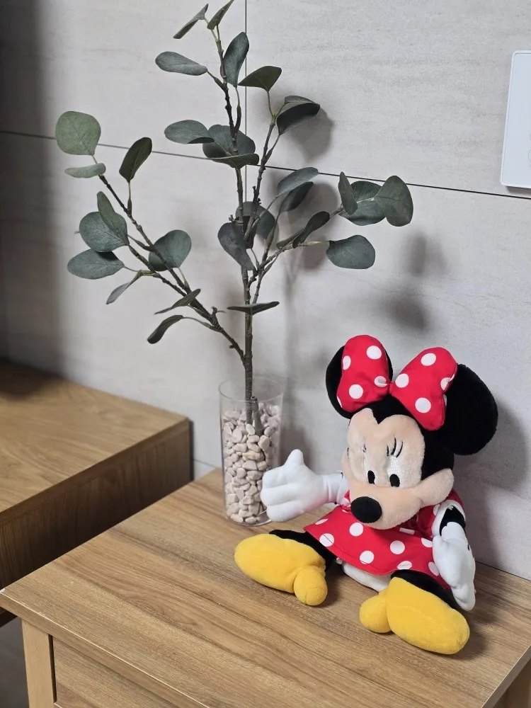 [Asan] Sinchang 3-Room New Apartment A 8