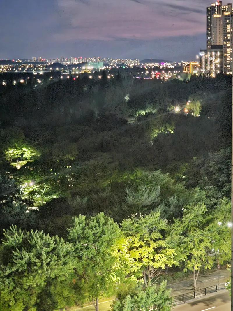 [Goyang] Opened in front of Ilsan Lake Park 17