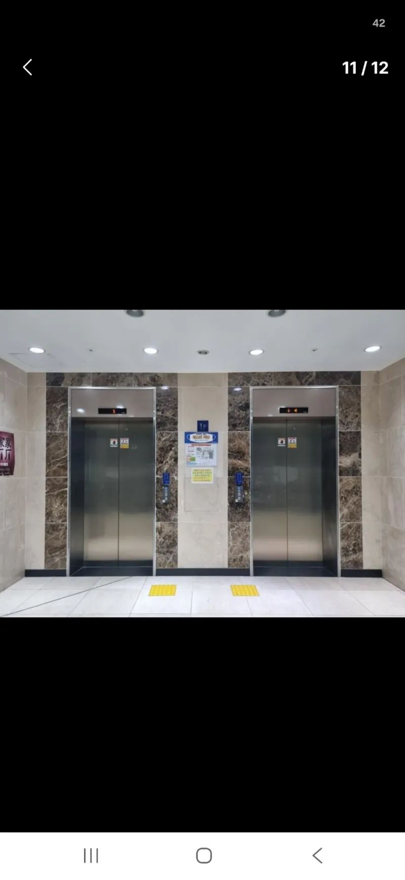 [대전 서구] 시청 블루스 15
