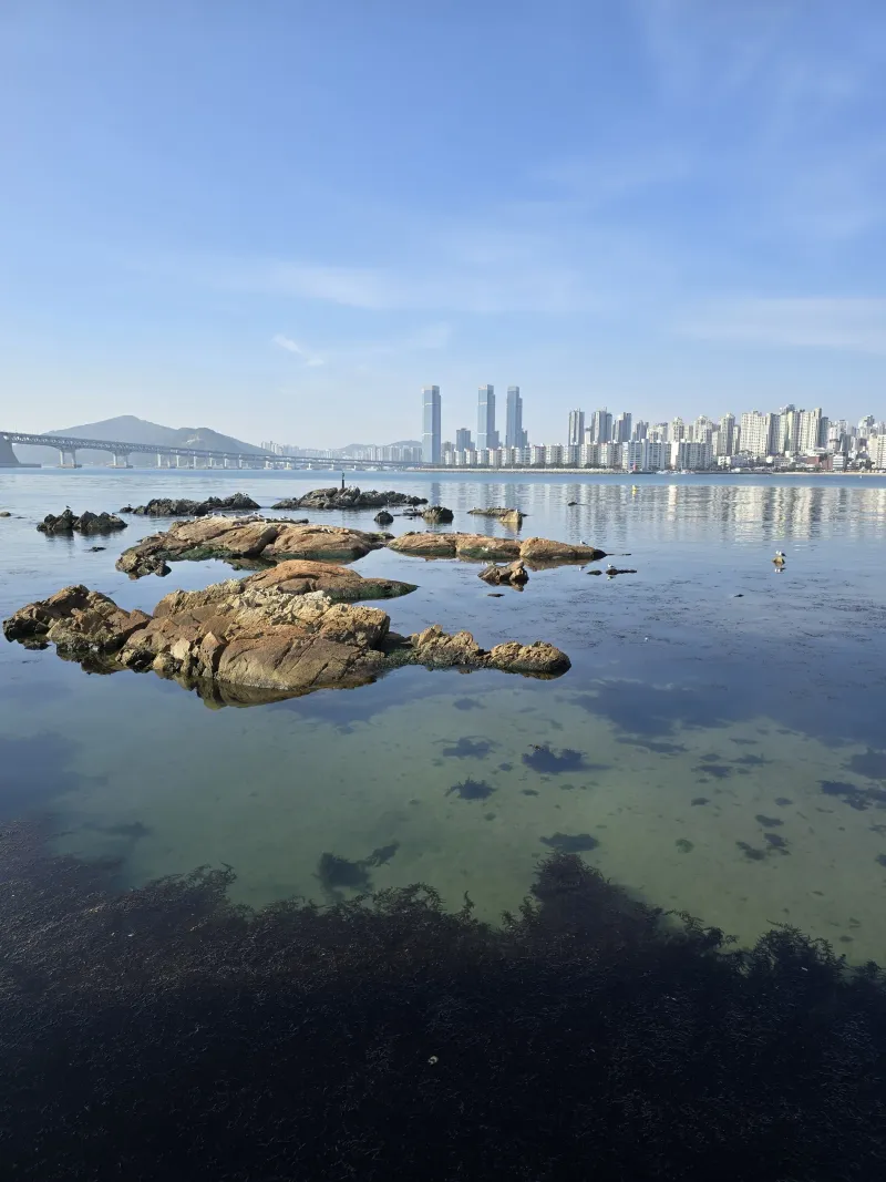 [Suyeong, Busan] Gwangalli Fully Furnished New Construction 20