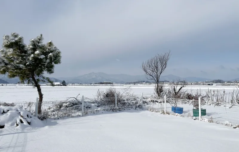 [Yesan] Sapgyo Country House - Yesan-Hongseong-Naepo 14