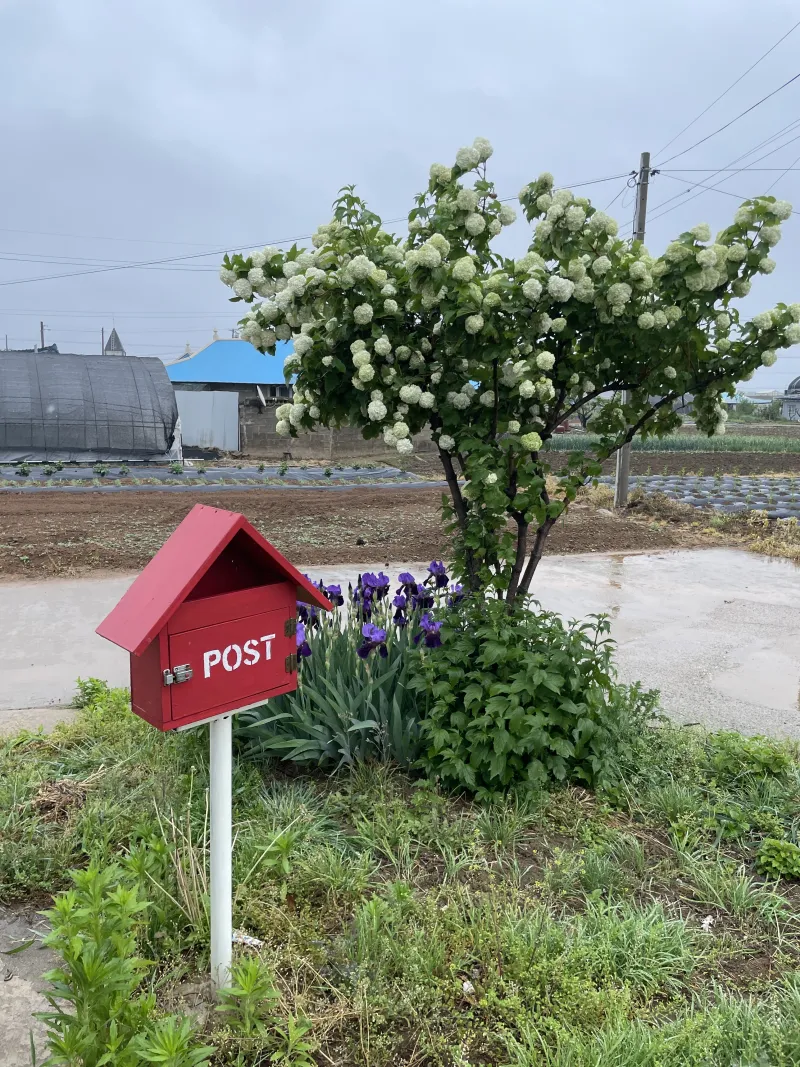 [Yesan] Sapgyo Country House - Yesan-Hongseong-Naepo 12
