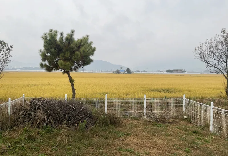 [Yesan] Sapgyo Country House - Yesan-Hongseong-Naepo 13