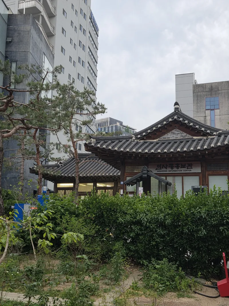 [Jongno, Seoul] Olive Stay 13