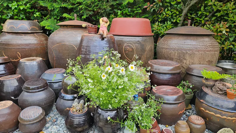 [Damyang][Damyang, Jeollanam-do] A detached yellow mud house with a beautiful garden 24