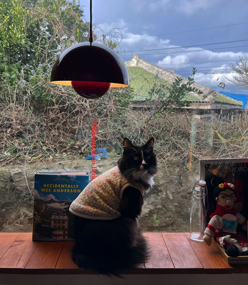 [Gujwa, Jeju] Women-only accommodation with cats near Pyeongdae Beach 23
