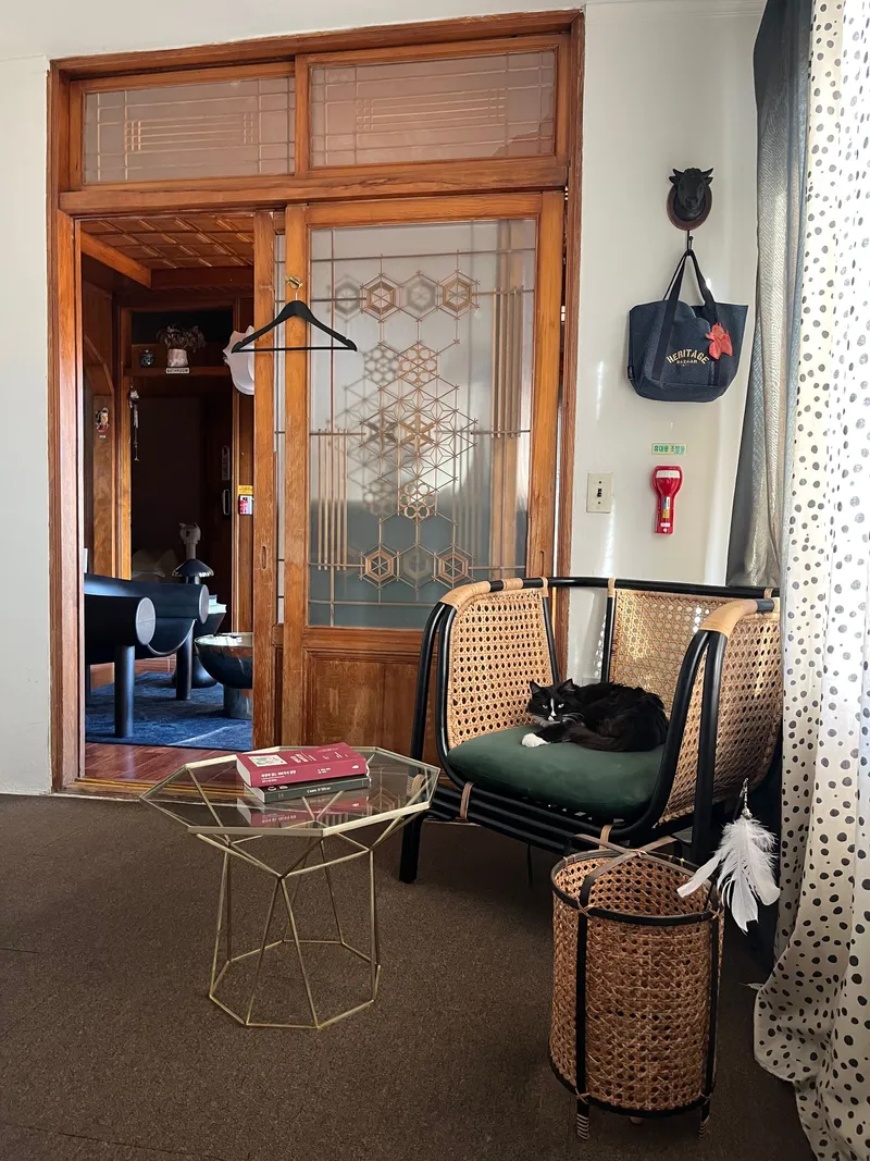 [Gujwa, Jeju] Women-only accommodation with cats near Pyeongdae Beach 13