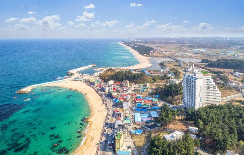 [Gangneung][Gangwon Gangneung] A7 16