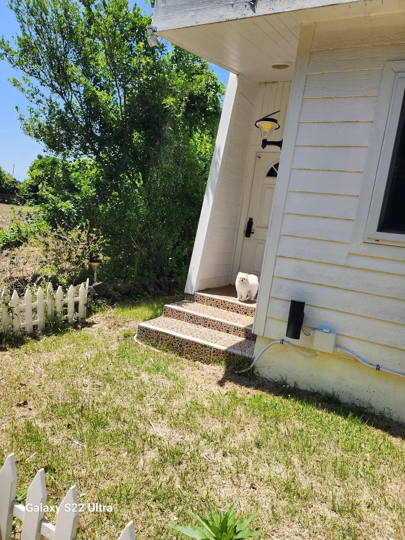 [Seongsan, Seogwipo][Seogwipo/Seongsan/Pyoseon] Healing two-room detached house with a small yard and stone wall 24