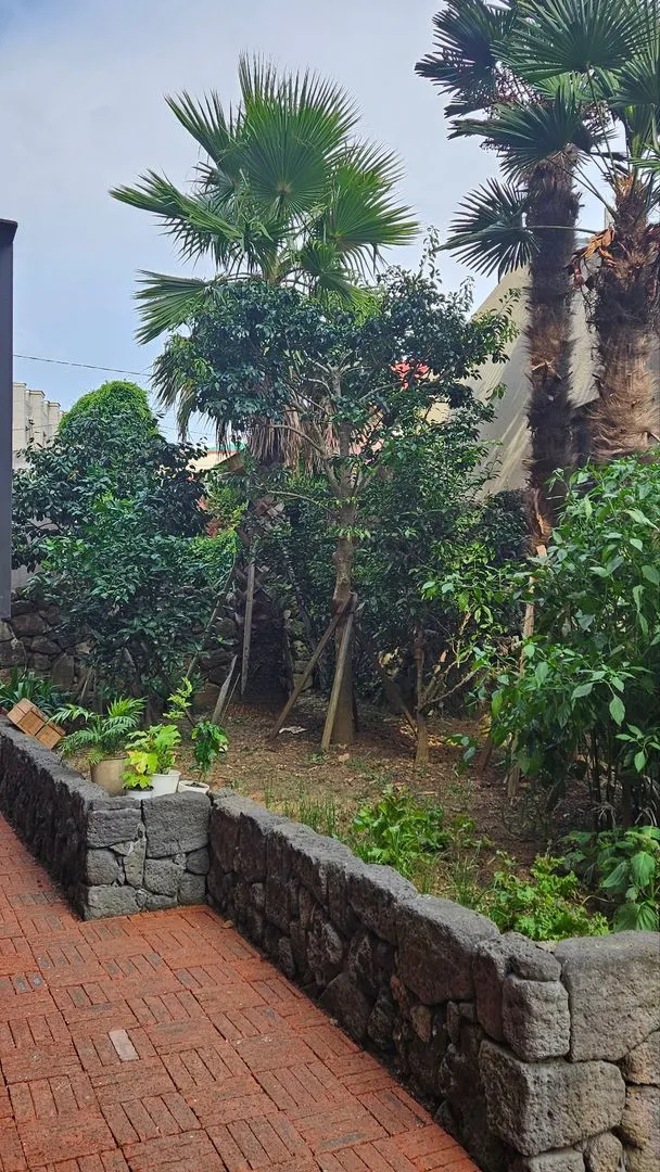 [Daejeong, Seogwipo] Entire 4th floor accommodation with a view of the ocean and Sanbangsan Mountain 92