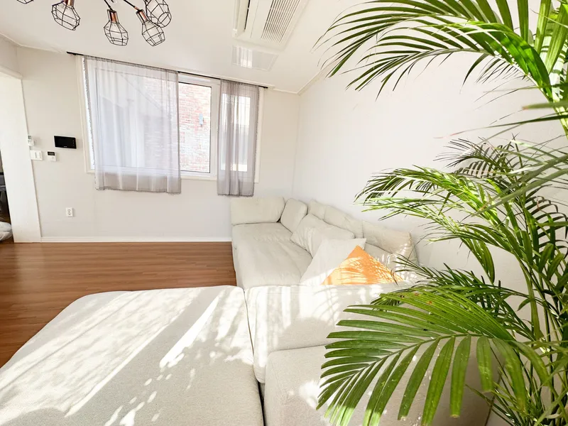 [Gujwa, Jeju] Up to 10 people, 2nd floor pool villa, emotional independent house, kids, family accommodation 12