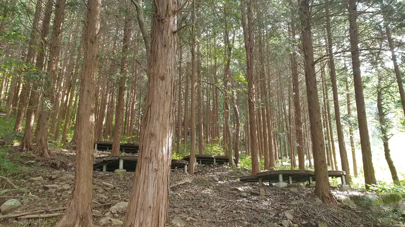 [전남 구례] 산동 수목원과 휴양림사이 숲속의 작은집 독채 마운틴 호수뷰 48