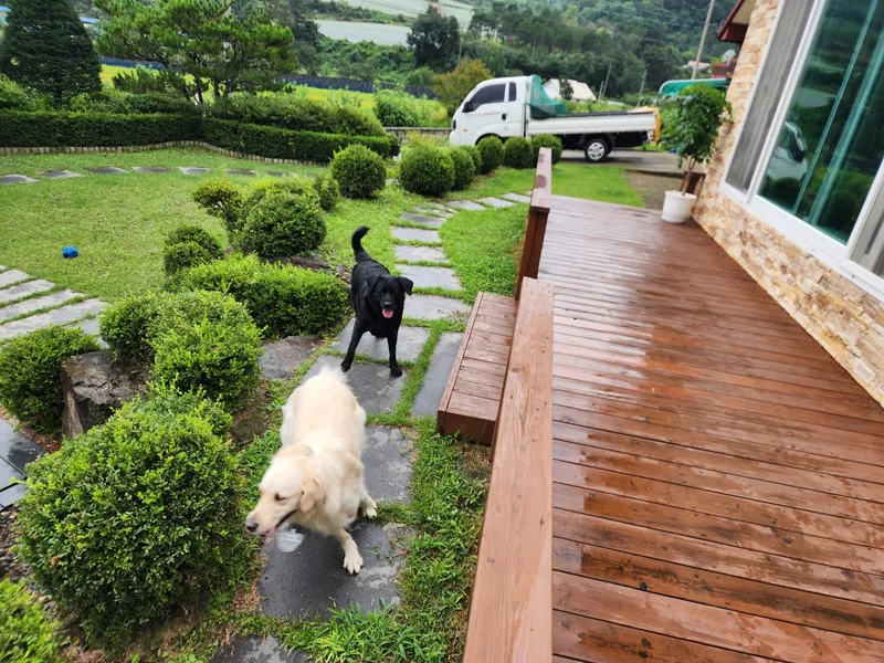 [Hoengseong] High-class three-room detached house in Chiaksan Bugok National Park #Pets allowed 99