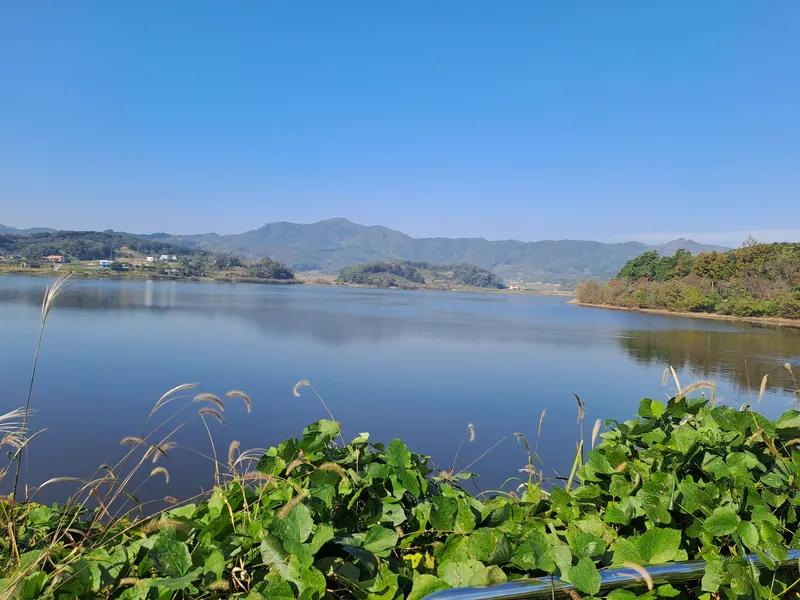 [충남 부여] 1946년생 서까래가 살아있는 조용하고 아늑한 시골집 44