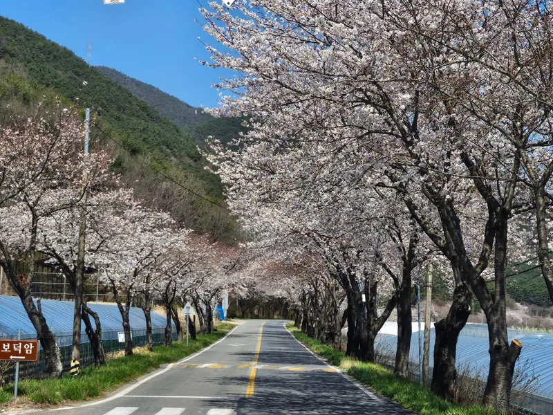 [경남 하동] 하동단체가족 2층으로 이루어진 아늑하고 깨끗한 독채 7