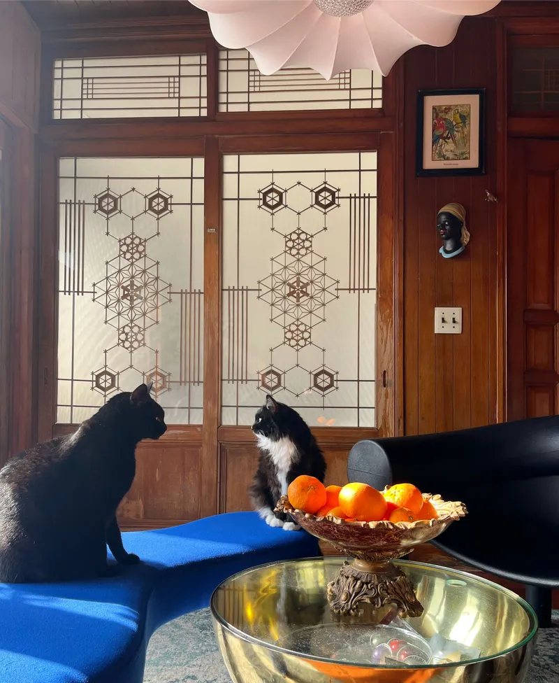 [Gujwa, Jeju] Women-only accommodation with cats near Pyeongdae Beach 28